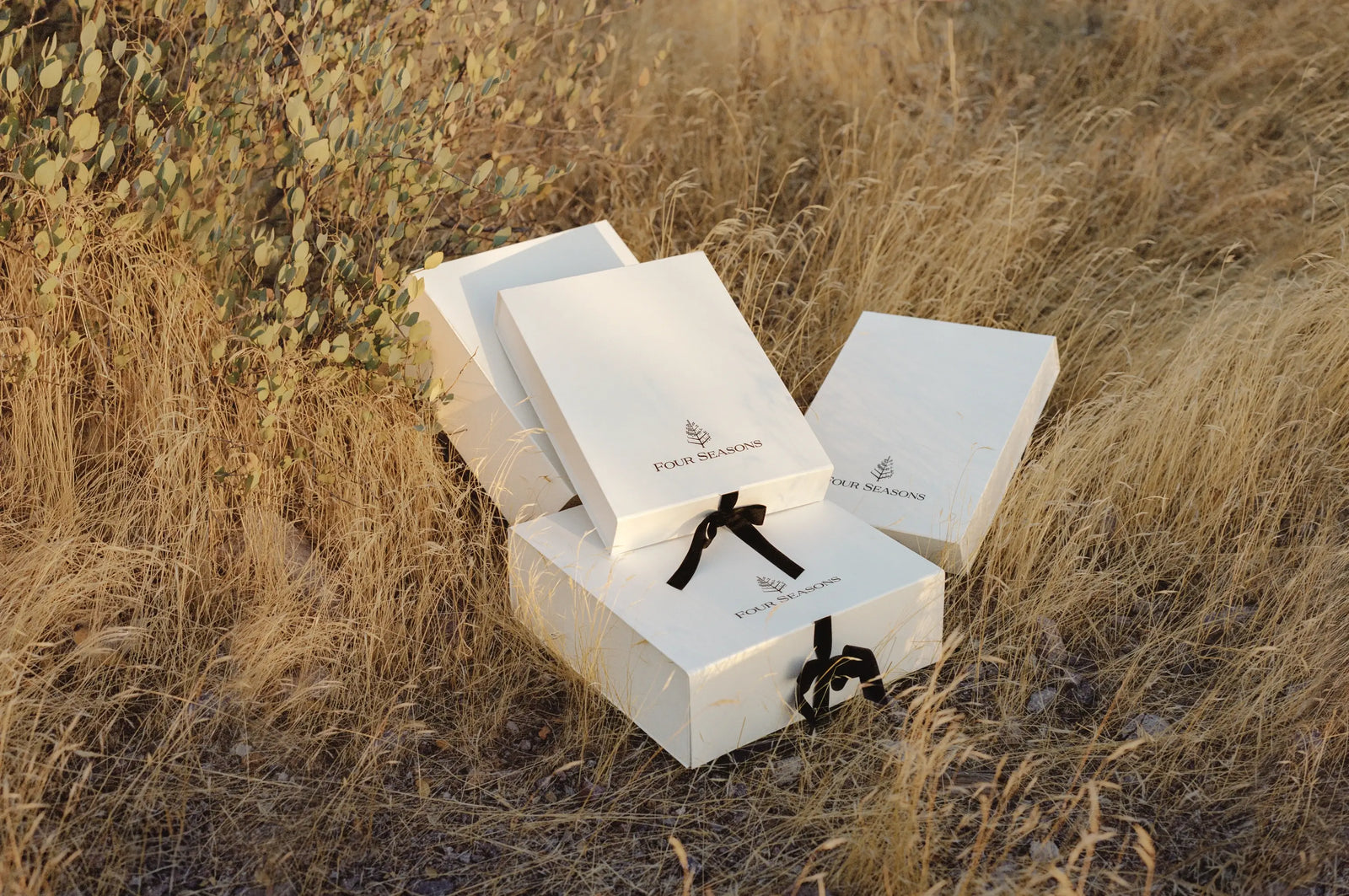 【確認用】Four Seasons Banner_Desktop_Gifting.001.