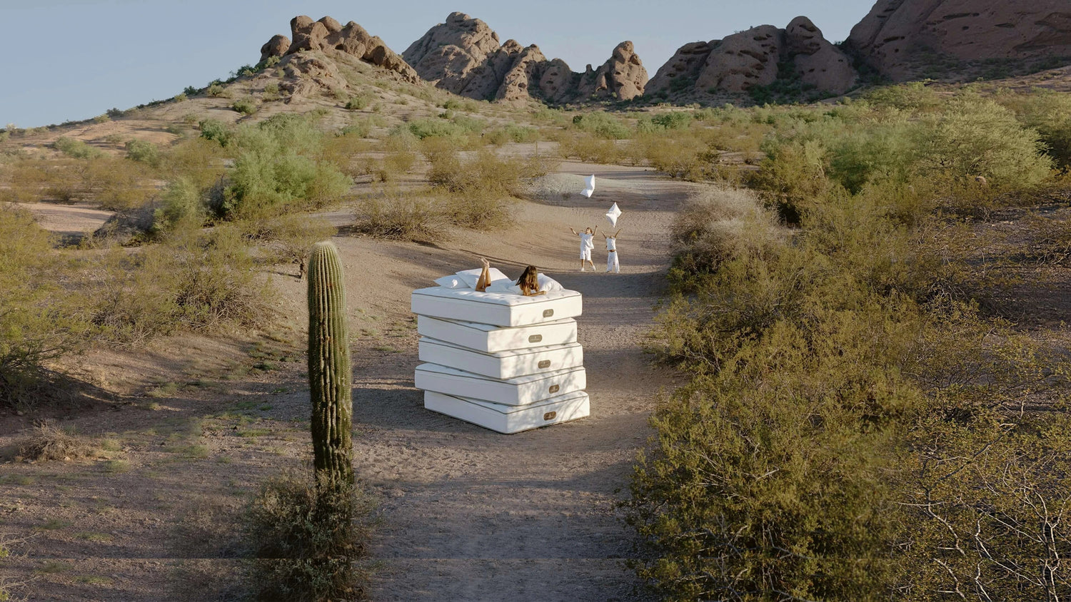 Mattress Collection