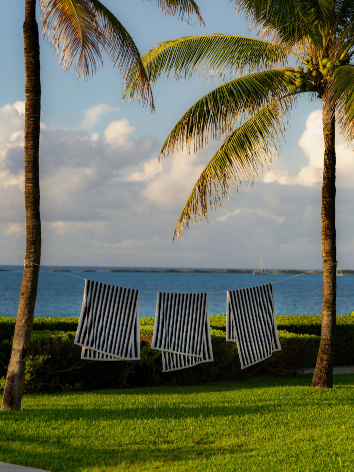 Three black and white striped beach towels hanging on a clothesline between two palm trees. The ocean and a blue sky with white clouds are visible in the background.